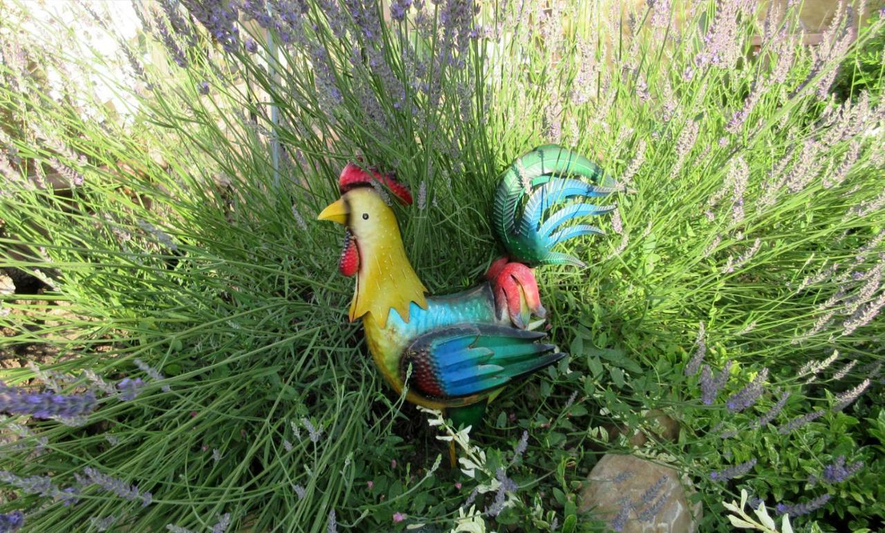 Podere Chiocciola Poggibonsi Bagian luar foto
